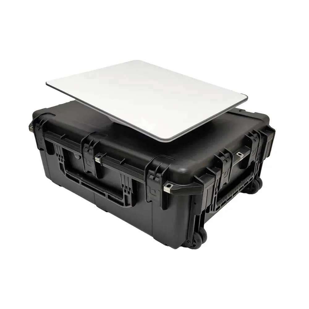 Starlink Performance Rental